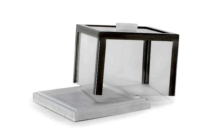 Cake - Hot Product Presentation Wood / Oak / 3285