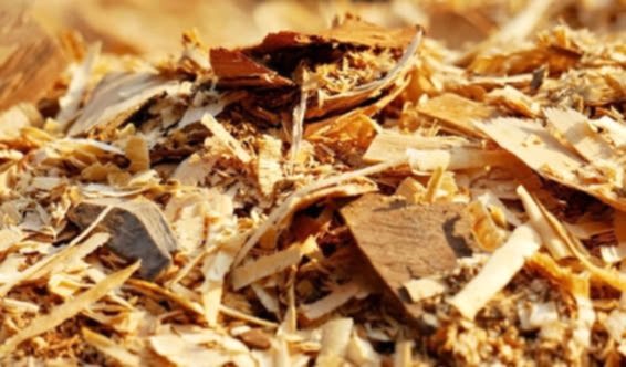 Zero Waste: Respecting Nature, Investing in the Future
