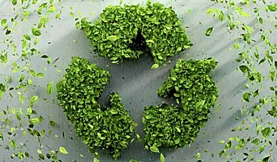 Naturelwood's Zero Waste Policy