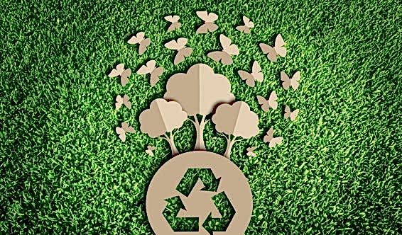 Reducing Our Carbon Footprint